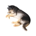 thumbnail image 2 of Escultura de perro realista Perfecl Mini escultura de perro Negro, 2 of 8