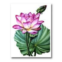 Designart ' Ancient Pink Lotuses In The Pond VI ' Traditional Canvas Wall Art Print