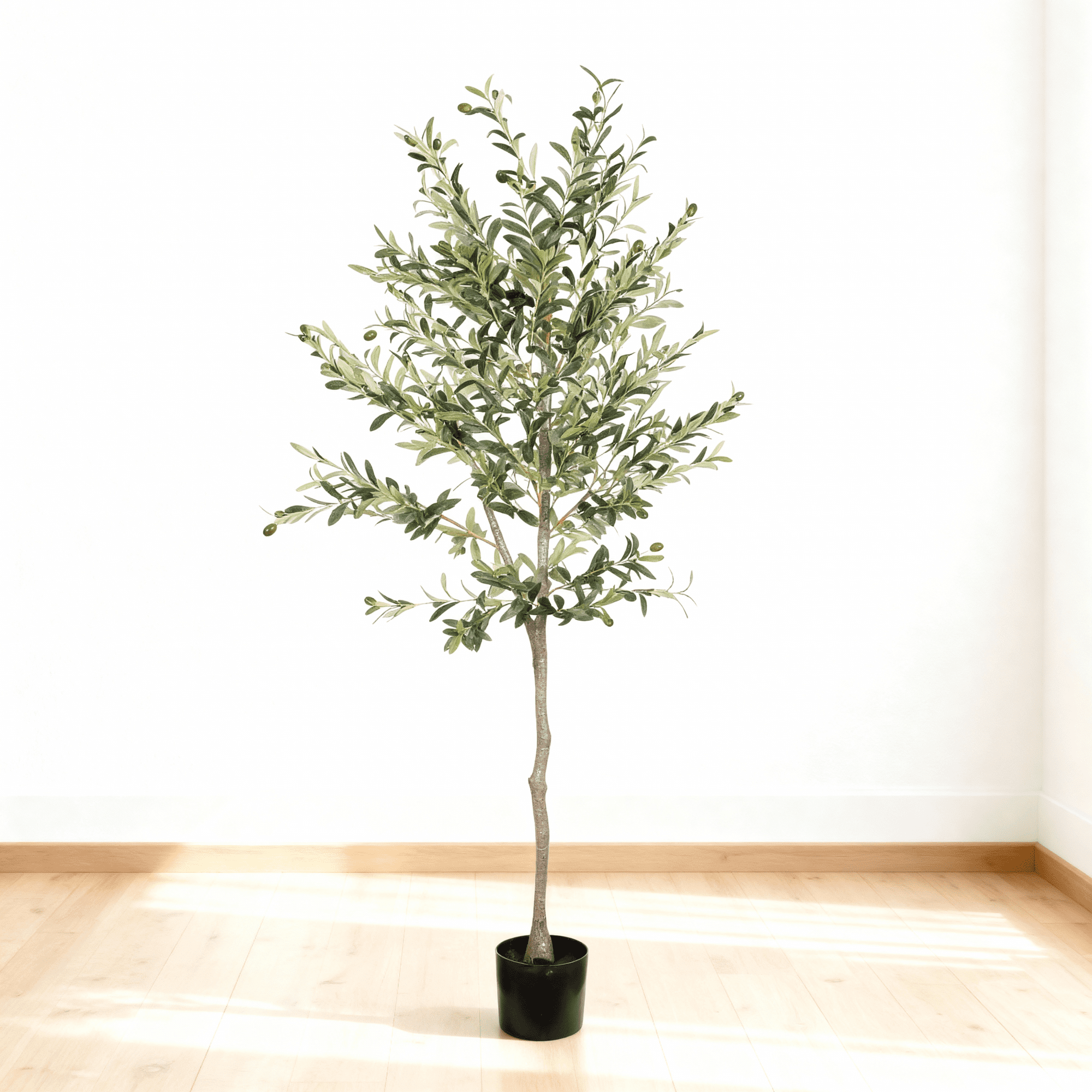 6FT Artificial Olive Tree in Black Plastic Pot,Silk Fake Olive Tree with Realistic Leaves for Home House Office Decor Indoor Outdoor