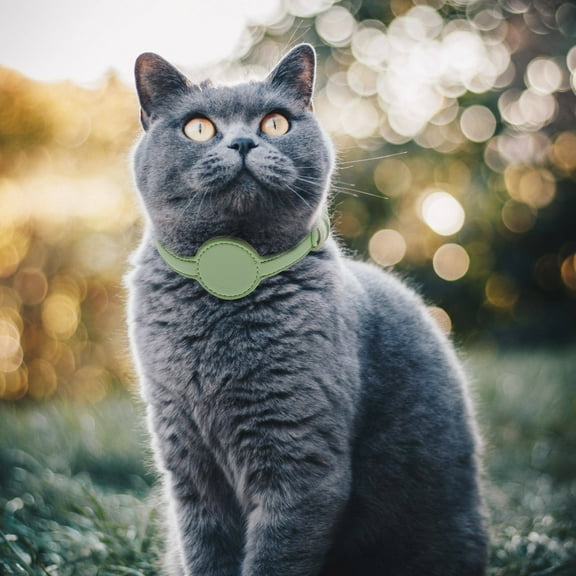 IBASETOY 1Set Cat GPS Collar Lightweight Green for Outdoor Pet Collar with Safety Buckle