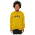 thumbnail image 2 of Daxton Youth Unisex Pullover Cities State Hoodie Mid-Weight Fleece Sweater - Virginia Gold Navy, XL, 2 of 3
