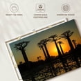 thumbnail image 6 of Elephant Stock Silhouetted Morondava Baobab Trees Wall Art - Horizontal Canvas Wall Art - Living Room Wall Decor - Floral And Botanical Canvas - Black And Orange Decor - 45" x 30", 6 of 8