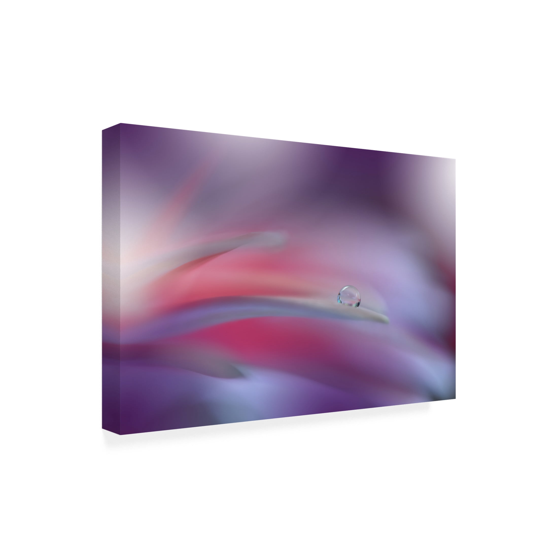 Trademark Fine Art Juliana Nan The Essence Of Being..Ii Canvas Wall Art