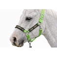thumbnail image 2 of Nylon Horse Beaded Halter Nickle Plated Hardware w/ Lead Rope Tack Lime 606175LG, 2 of 5