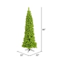 thumbnail image 2 of Vickerman 66" Fir Pencil Unlit Artificial Christmas Tree in Flocked Lime Green, 2 of 2