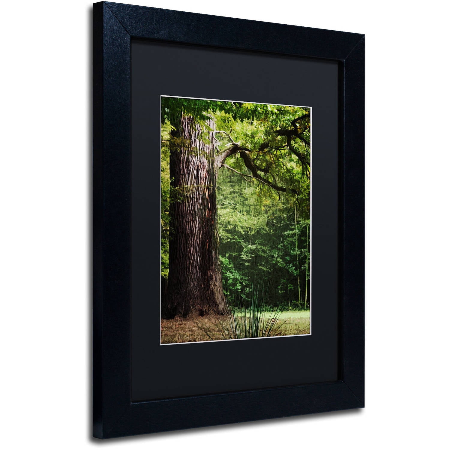 Trademark Fine Art "The old Trunk" Canvas Art by Philippe Sainte-Laudy Black Matte, Black Frame