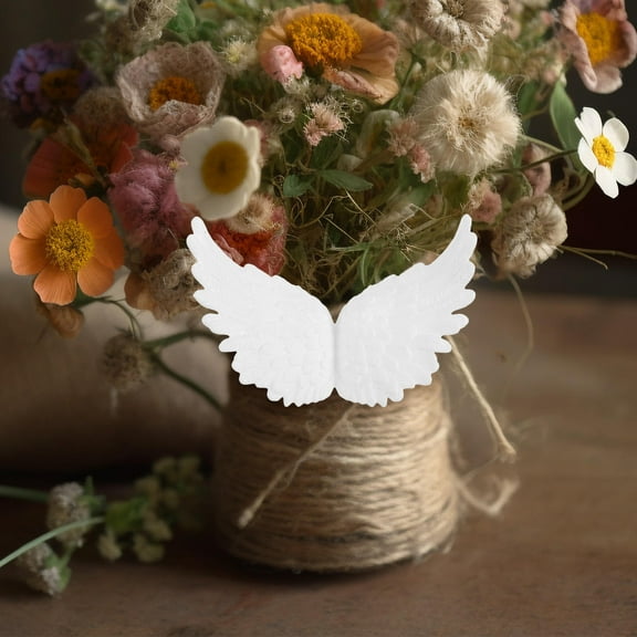 HONMEET Wings Decorations Small Plastic Embellishments for Crafts Clothes 12 Pieces