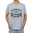 thumbnail image 3 of Harry Potter Boys Gryffindor Keeper T-Shirt, 3 of 5