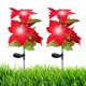 thumbnail image 1 of Luces Solares para Exteriores @#@ @# (C), 1 of 9