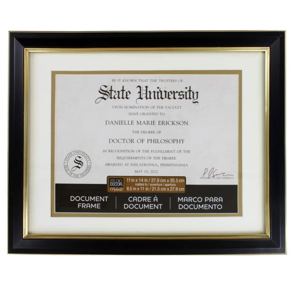 Studio Decor 8.5" x 11" Black & Gold Document Frame with Double Mat