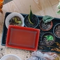 thumbnail image 4 of SKISUNO 50Pcs Terrarium Mesh Screen Black Plant Pot Soil Loss Prevention Gardening Accessory, 4 of 6