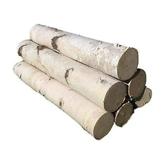 White Birch Log Set for Fireplace