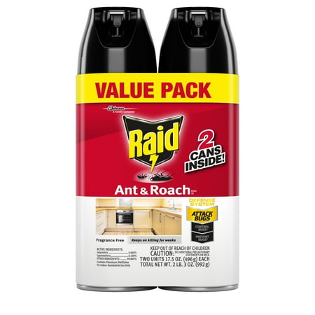 Raid Ant & Roach Killer 26, Fragrance Free, 17.5 oz (2 (Best Solution For Roaches)