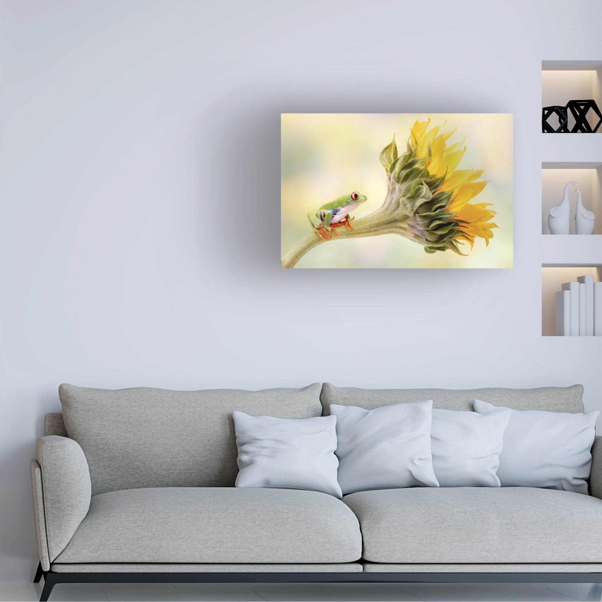 Linda D Lester 'Red Eyed Tree Frog On A Sunflower' Canvas Art