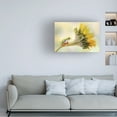 thumbnail image 2 of Linda D Lester 'Red Eyed Tree Frog On A Sunflower' Canvas Art, 2 of 4