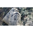 thumbnail image 4 of Hermes Dimarakis Estate Manaki & Koroneiki Extra Virgin Olive Oil, 500 ml, 4 of 5