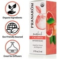 thumbnail image 5 of Pranarom - Calabria Diffusion Blend (5ml) - 100% Pure Essential Oil Blend for Diffusing with Grapefruit, Fennel & Bergamot Scent | USDA and ECOCERT Certified Organic, 5 of 9