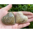 thumbnail image 5 of Fossil Coral Gemstone Hearts, Polished Fossil Coral Puffy Hearts, Fossil Coral Palm Stone, Fossil Coral Heart (5 Hearts）, 5 of 9