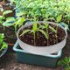 thumbnail image 2 of Bandeja de germinación, cubierta, tamiz de harina, jardinería interior, acero inoxidable, suministro para germinación de vegetales., 2 of 6