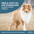thumbnail image 2 of Combo Diamond Naturals Skin & Coat All Life Stages Dog Salmon & Potato Formula 6.79 Kg MAS Dos Latas, 2 of 5