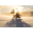thumbnail image 2 of The Yellowstone Collection 24x17 White Modern Wood Framed Museum Art Print Titled - Sunrise near Terrace Spring, Yellowstone National Park, 2 of 4