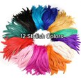 thumbnail image 4 of Plumas de cola de gallo Holmgren, blanquecinas, 30-35 cm, 60 unidades, 4 of 6