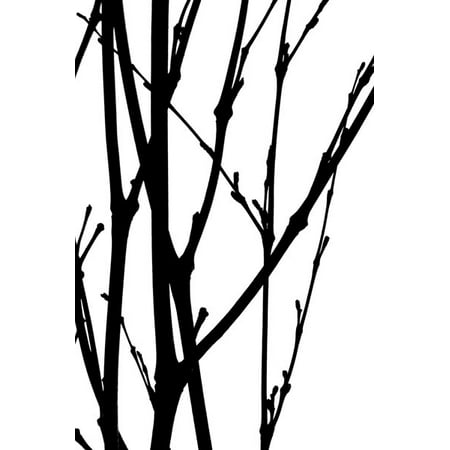 Branch Silhouette III, Fine Art Photograph By: Monika Burkhart; One 24x36in Fine Art Paper Giclee