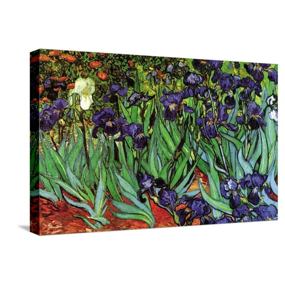 Art.com Irises Stretched Canvas Print Wall Art by Vincent van Gogh, 24" x 16"