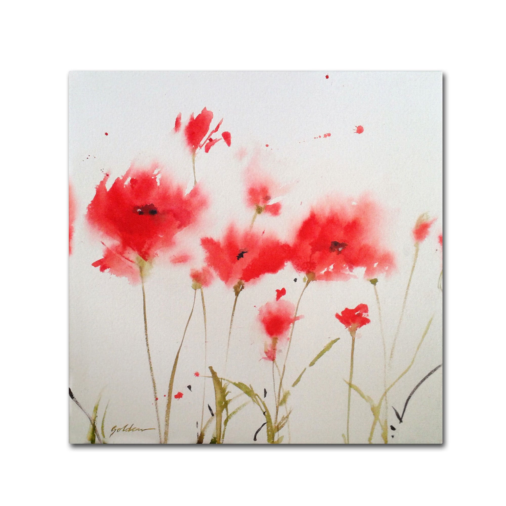 Trademark Fine Art "A Poppy Moment" Canvas Art by Sheila Golden