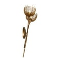 thumbnail image 5 of Protea 2-Light Wall Sconce in Manchester by Breegan Jane, 5 of 5