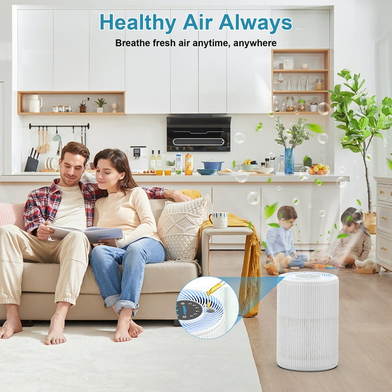 AIRFIRE AP201 HEPA Air Purifier for Large Rooms, 1300 Sq Ft photo 3