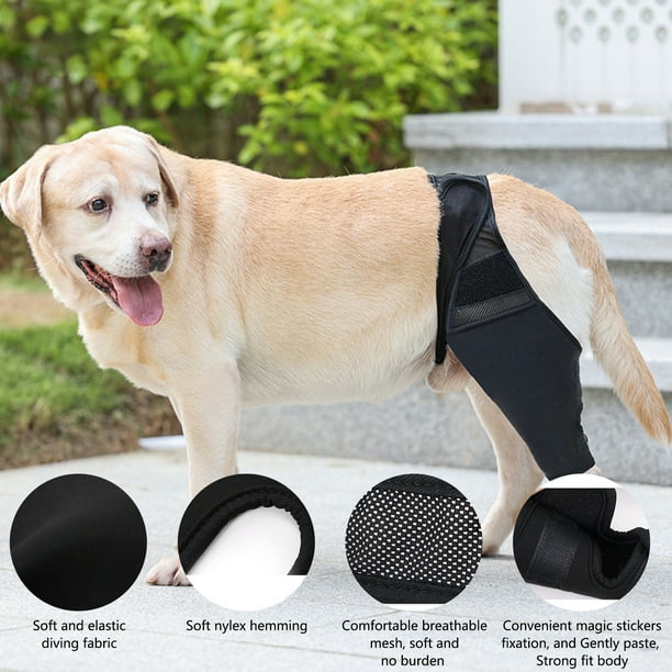 BeesClover Pet Dog Knee Brace Adjustable Multifunctional