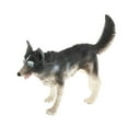 thumbnail image 1 of ziyahi Simulation Animaux Modèle Figure Enfants Éducation Jouet Décor Husky, 1 of 7
