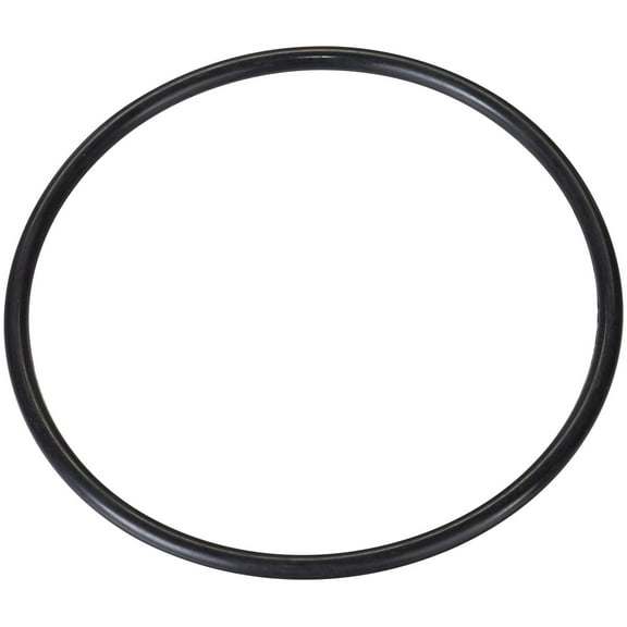 Spectra Premium LO194 Fuel Tank O-Ring