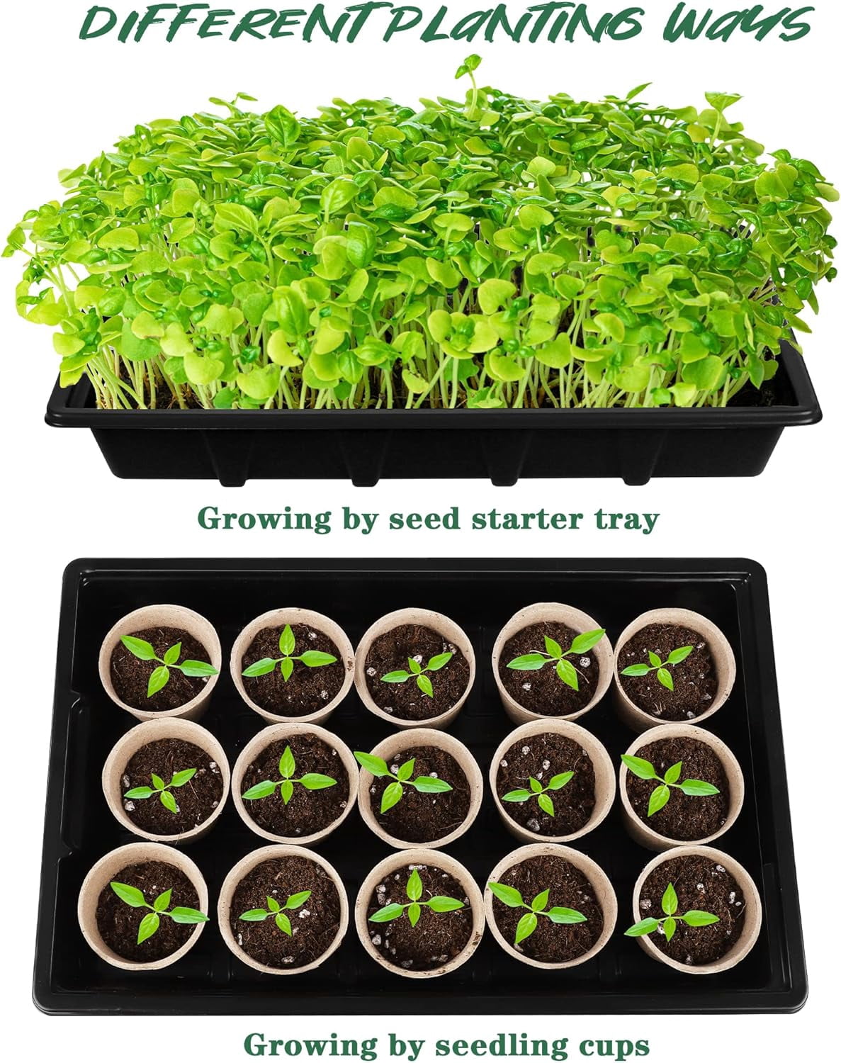 Seed Starter Tray Set with Pots, Germination Tray, Plant Labels and Tool