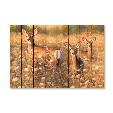 

Gizaun SGLAL-4430 Goulds Light & Lace Wood Art - 44 x 30 in.