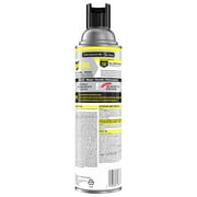 Raid Wasp & Hornet Killer Spray, 22 Ft Jet Spray Nest Killer, Outdoor, 17.5 oz