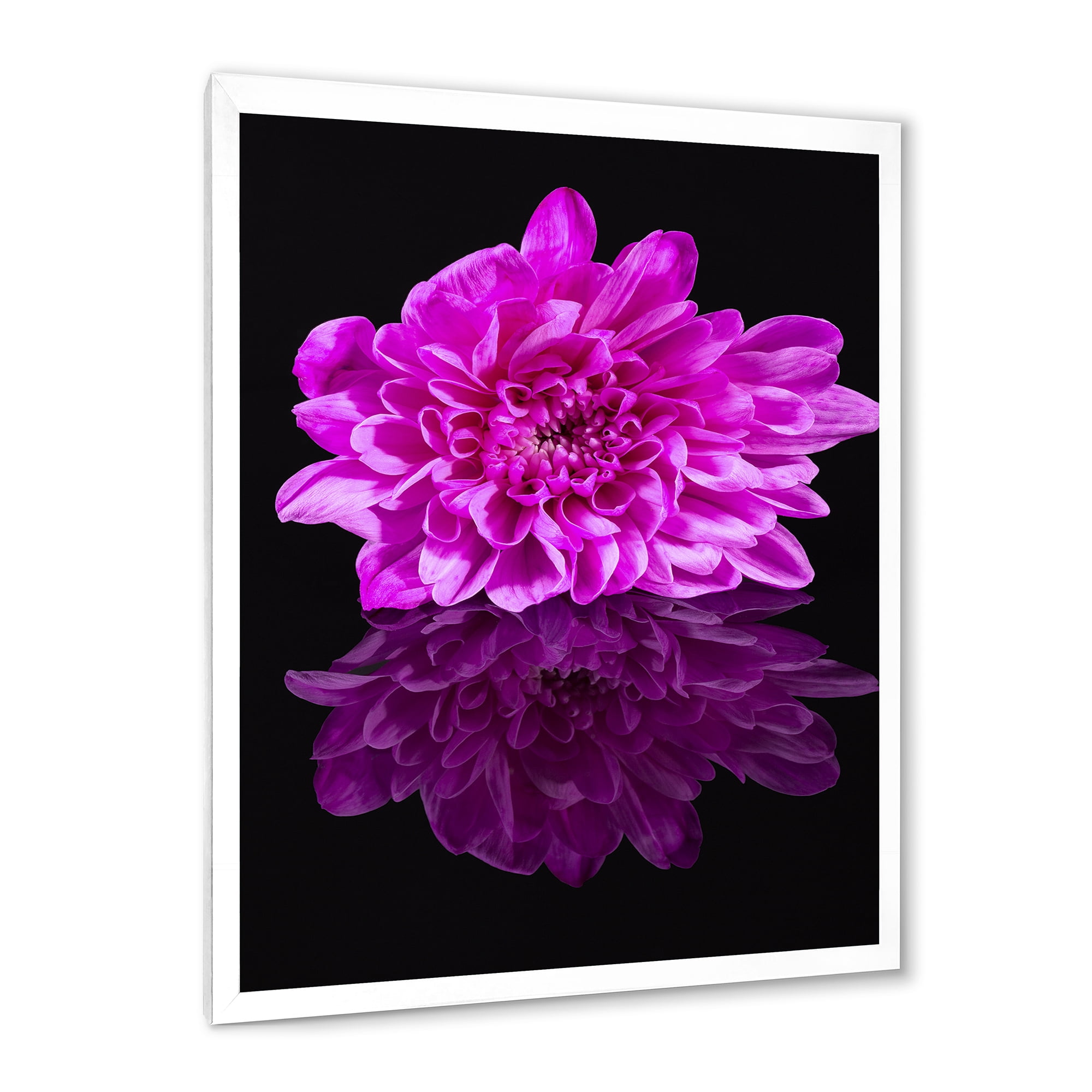 Designart 'Single Purple Chrysanthemum Flower On Black Reflection' Traditional Framed Art Print