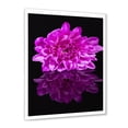 thumbnail image 2 of Designart 'Single Purple Chrysanthemum Flower On Black Reflection' Traditional Framed Art Print, 2 of 4