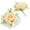 Champagne-colored rose, variant on 2Pcs Pink Corsage and Boutonniere Set Corsage Wristlet for Prom Decor Boutonniere for Men Wedding Flowers Accessories Party Suit Decoration(Light Pink)