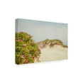 thumbnail image 2 of Canvas Wall Art - Brooke T. Ryan 'Rosa Rugosa' Wall Art for Living Room, Bedroom, or Office Décor by Trademark Fine Art - 47 x 30 Inches, 2 of 4