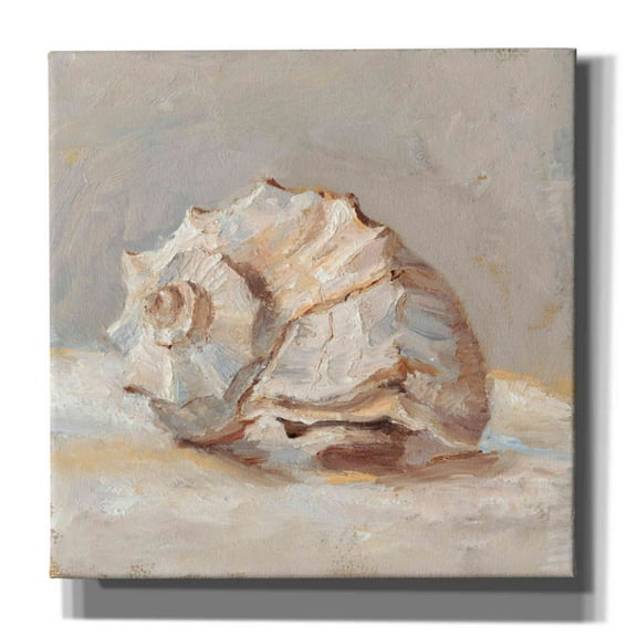 Epic Graffiti "Impressionist Shell Study II" by Ethan Harper, Canvas Wall Art, 12"x12"