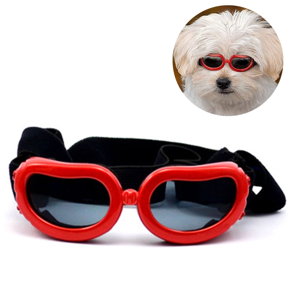 Dog Sunglasses Petsmart