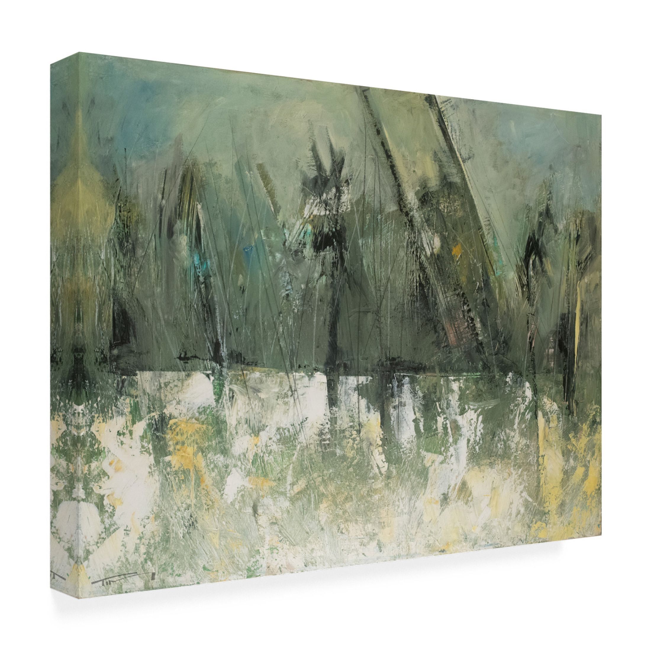 Canvas Wall Art - Tim Nyberg 'First Snow Ridges' Wall Art for Living Room, Bedroom, or Office Décor by Trademark Fine Art - 47 x 35 Inches