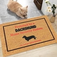 thumbnail image 4 of Yeetfub Welcome Mats for Front Door Outdoor Entry Funny Dogs are the 24-hour system of this home, with text, pattern, and printed floor mats Durable Soft Entry Doormats for Entryway, 4 of 6