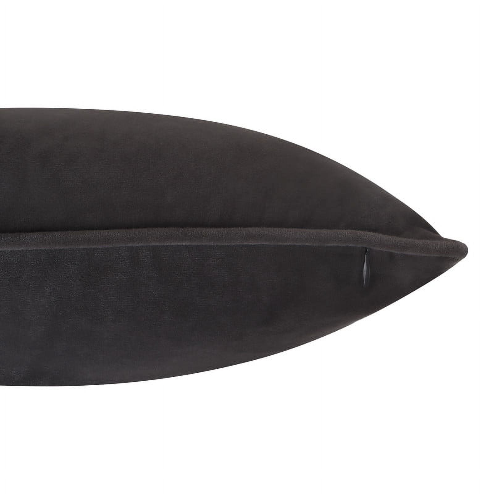 A1HC Set of 2 Luxurious Soft Velvet Throw Pillow Covers Only, 24"x24", Graphite, Decorative Cushion Covers with Hidden YKK Zipper for Sofa or Bed
