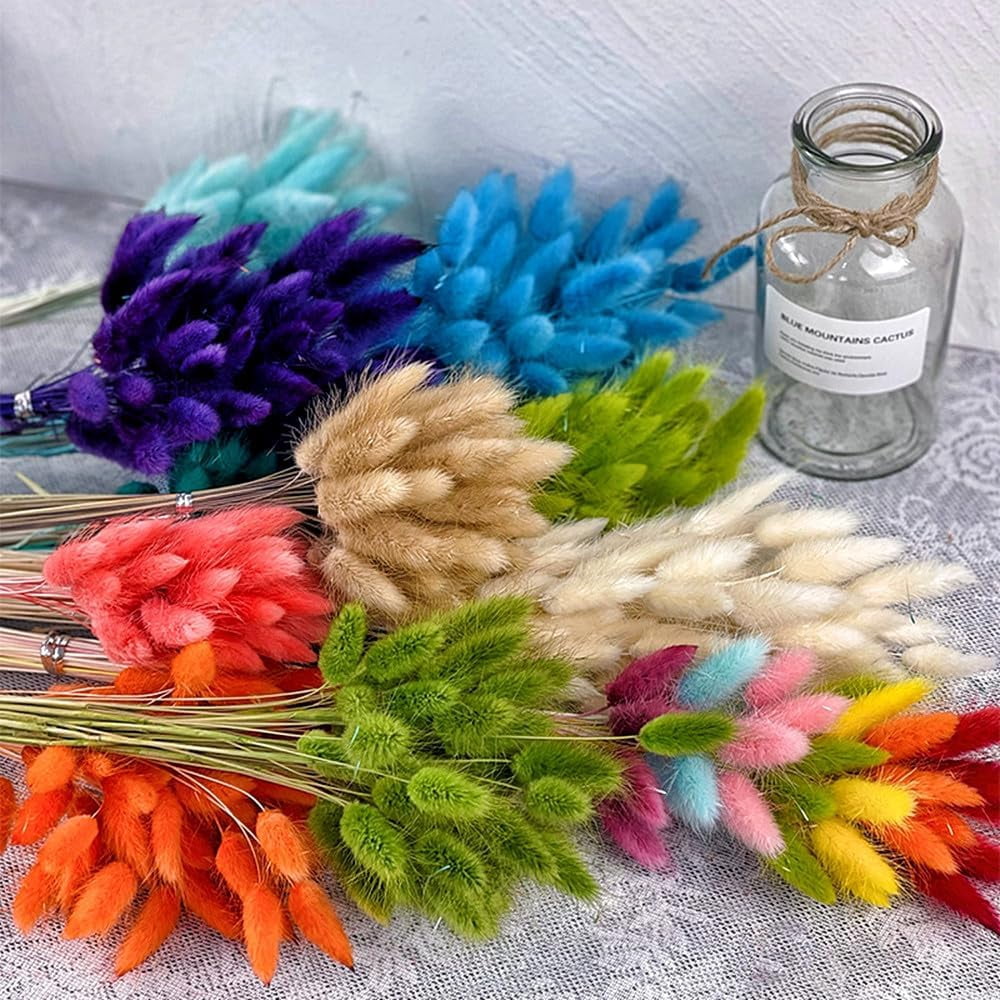 Natural Dried Bunny Tail Grass Real Flower Eternal Flower Lagurus Ovatus Dry Grass Dried Flowers Pampas Grass Bouquet Rabbit Tail Grass Stems forHome Decor and Fall Theme Decorati(7"/White)