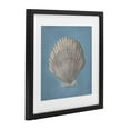 thumbnail image 3 of Stupell Industries Soft Sea Clam Shell Black Framed Print Under Glass design by Julia Purinton, 16 x 16, 3 of 10