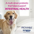 Proviable MultiStrain Probiotic Kit for Cats & Dogs 30mL