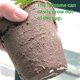 thumbnail image 3 of Ollas biodegradables de 100 piezas, olla de plántulas biodegradable, macetas de fibra sin turba, taza de siembra biodegradable, 8cm, redonda, herramientas de jardinería para el hogar Feliz Sencillez, 3 of 5